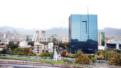 شیوه‌نامه ارزی