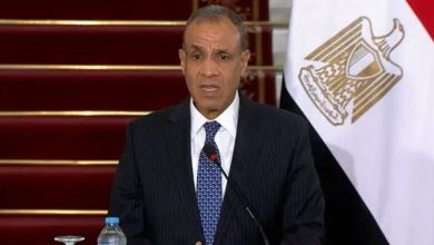 بدر عبدالعاطی