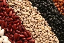 ثبت‌سفارش حبوبات