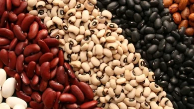 ثبت‌سفارش حبوبات