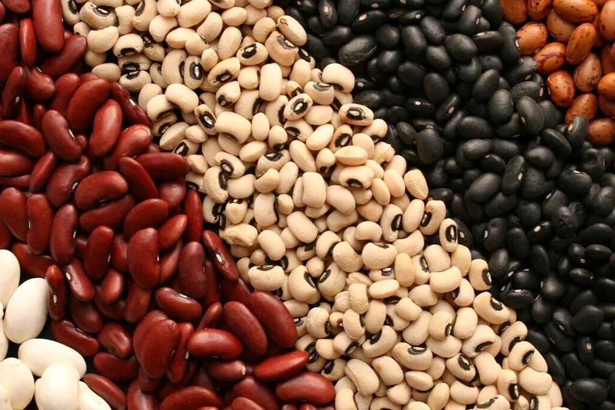 ثبت‌سفارش حبوبات