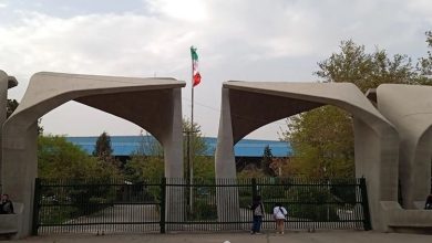 دانشگاه تهران