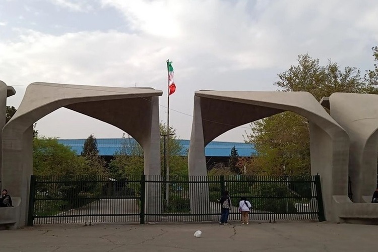 دانشگاه تهران