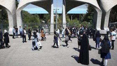دانشگاه تهران