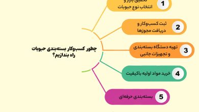 راه اندازی کسب و کار بسته بندی حبوبات