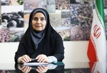 رفاه جمعی