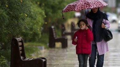 سازمان هواشناسی
