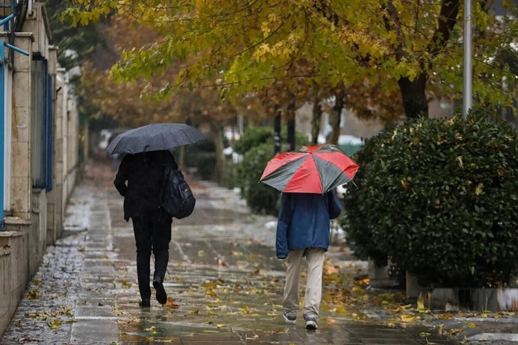 سازمان هواشناسی