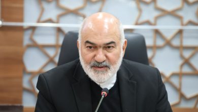 سید محمد رضا موالی زاده