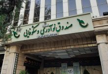 حمایت دولت