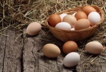 قیمت تخم مرغ