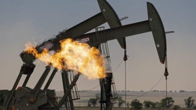 قیمت نفت