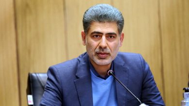 محسن زارعی