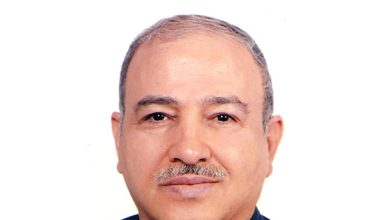 محمدرضا سعدی