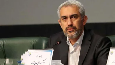 مدنی‌زاده