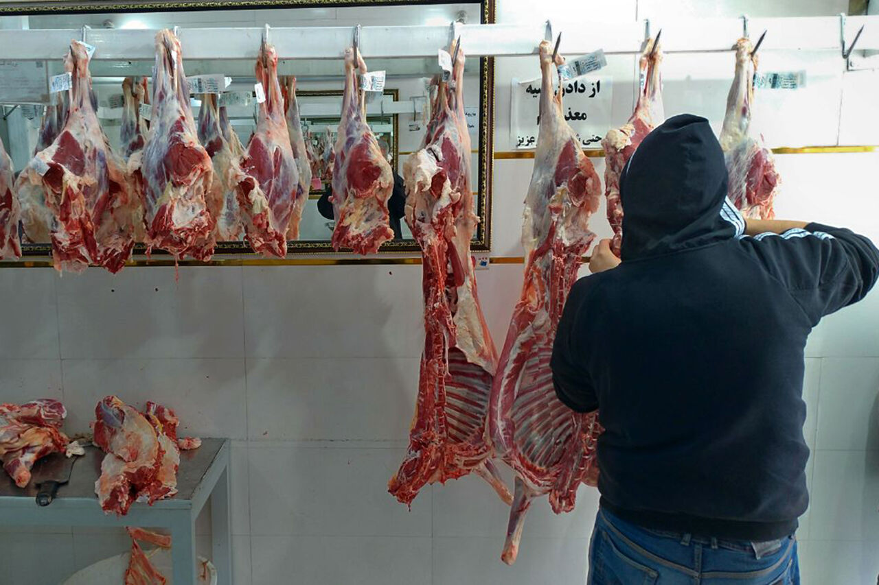 هشدار تب کنگو