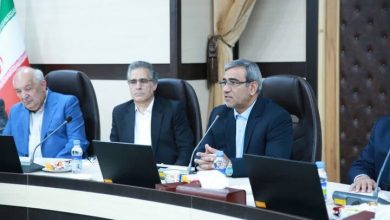 همدلی بخش خصوصی و دولت در شرایط کنونی کلید عبور از بحران است