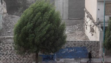 وزش باد شدید
