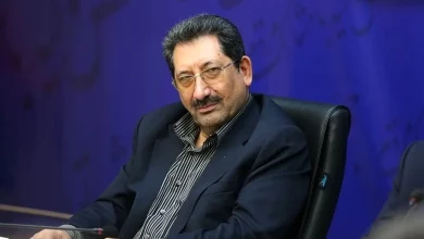 حمایت دولت