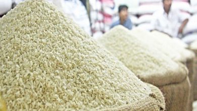 افزایش قیمت مواد غذایی