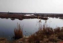 آلودگی سیانور و آرسنیک در گرد و غبار تالاب بندعلیخان