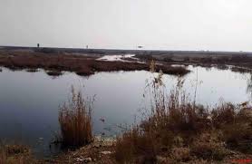 آلودگی سیانور و آرسنیک در گرد و غبار تالاب بندعلیخان