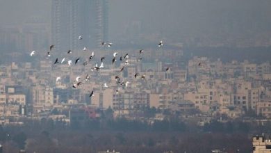 آلودگی هوا به مرز هشدار رسید
