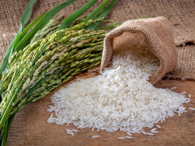 افزایش سه برابری قیمت برنج