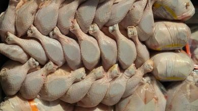 بازار مرغ