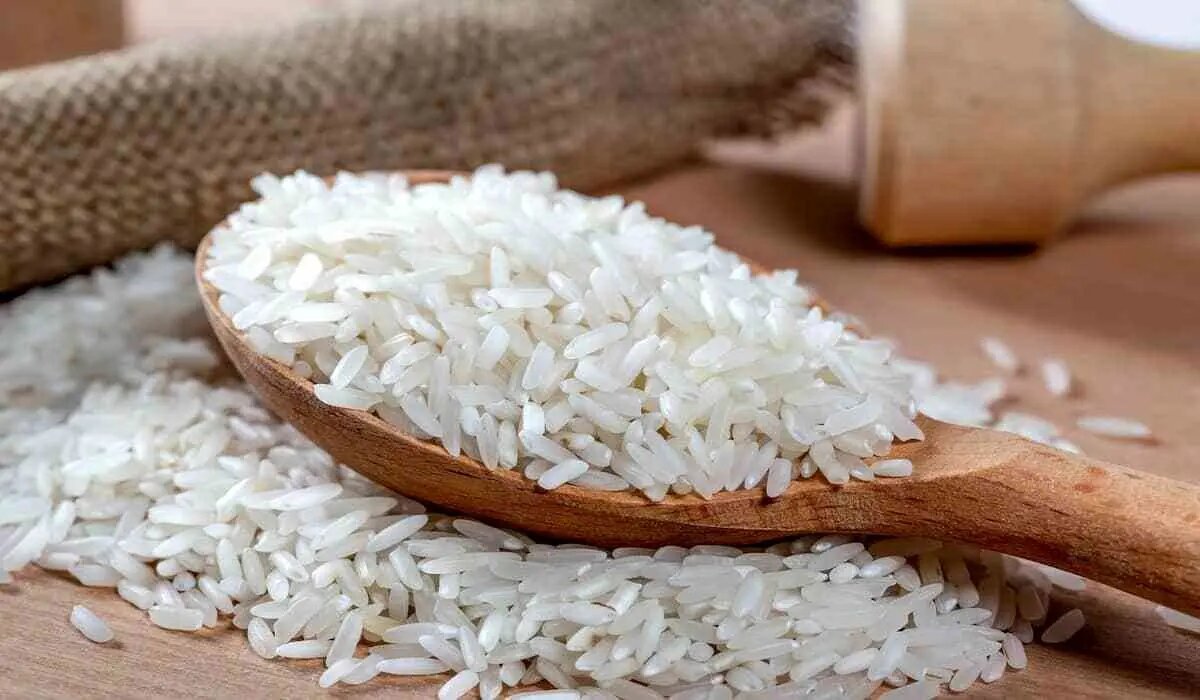 برنج ارزان شد