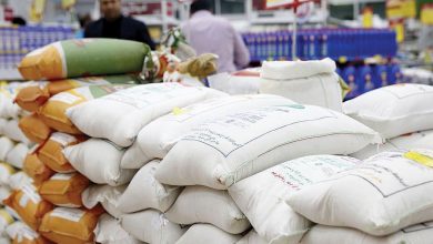 توقف واردات برنج در فصل برداشت