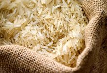تولید برنج