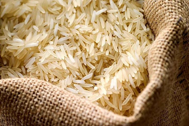 تولید برنج