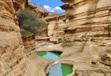 رقیب جدی