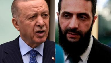 جولانی اردوغان