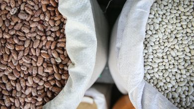 ممنوعیت صادرات