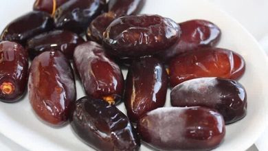 خرمای خراسان جنوبی