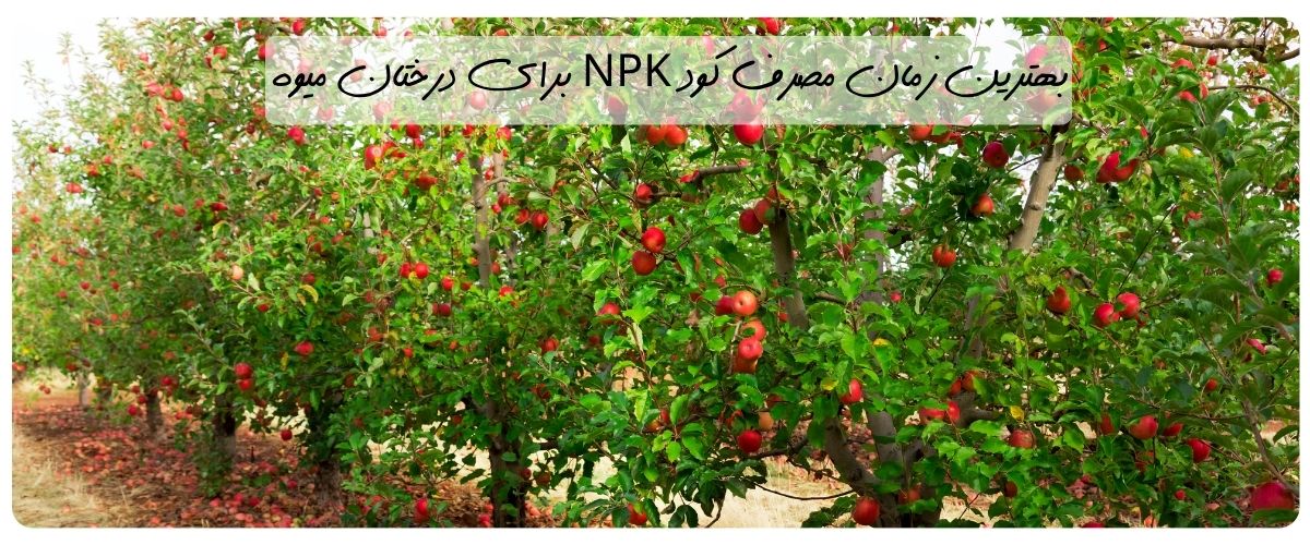 زمان مصرف کود npk برای درختان میوه - تصویر 3