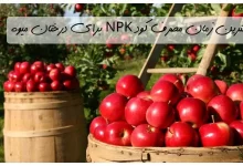 زمان مصرف کود npk برای درختان میوه [کاملترین نکات]