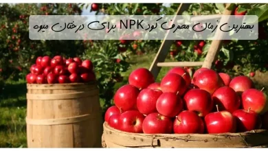 زمان مصرف کود npk برای درختان میوه [کاملترین نکات]