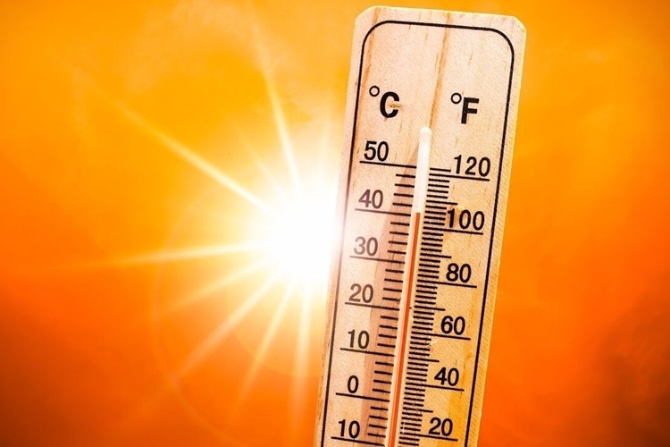 سازمان هواشناسی