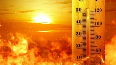 سازمان هواشناسی