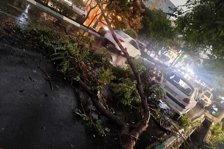 سازمان هواشناسی