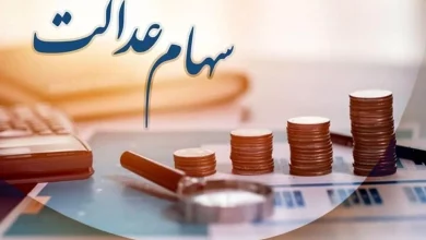 سود سهام عدالت 