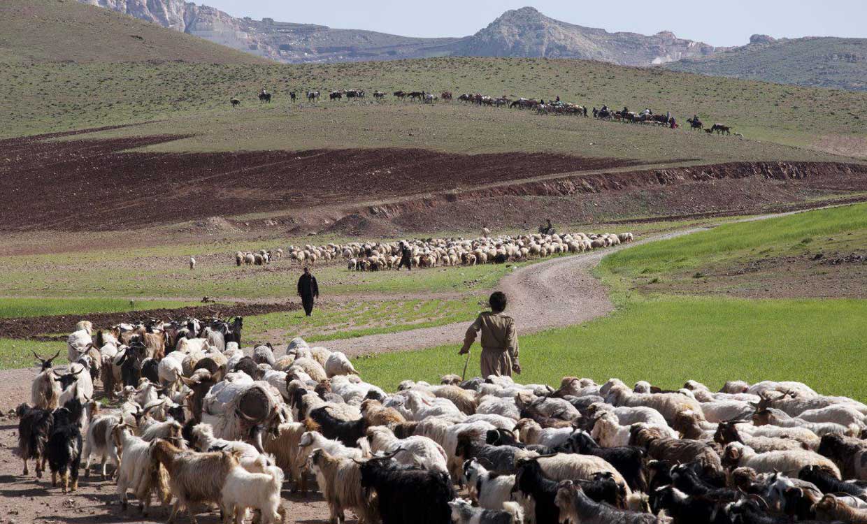 عشایر ایران