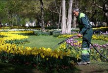 فاضلاب تهران