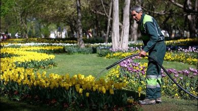 فاضلاب تهران