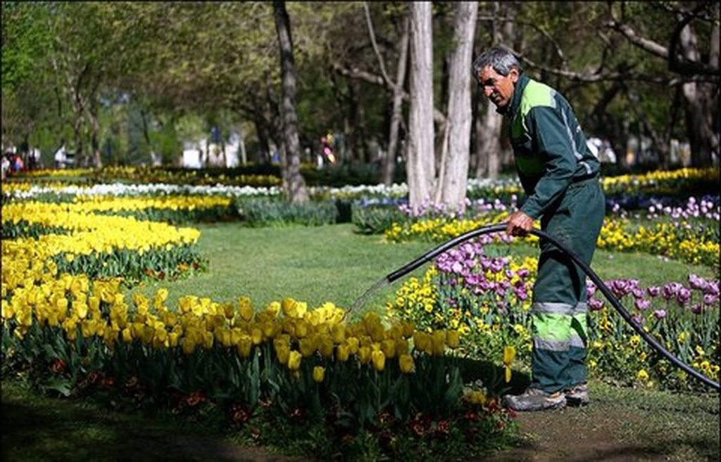 فاضلاب تهران