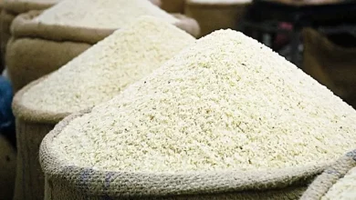واردات برنج