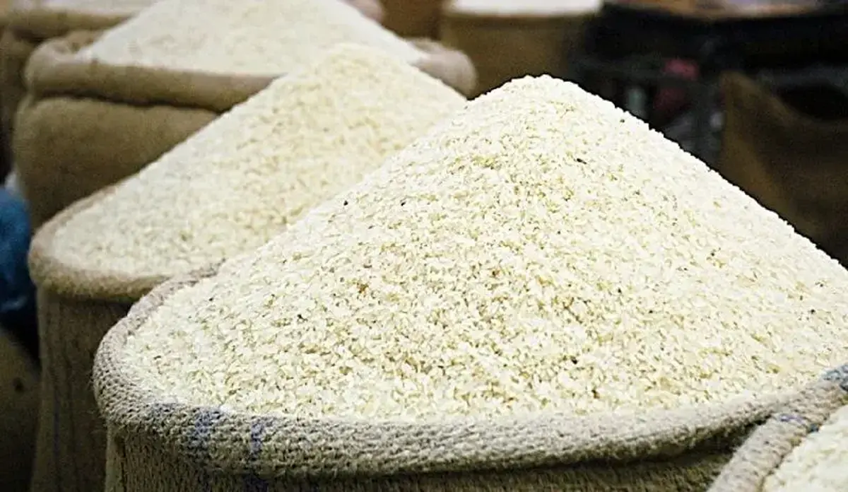 واردات برنج